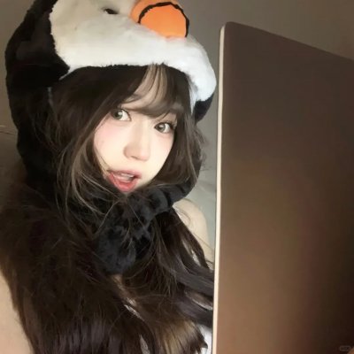 倒霉熊的杯子之旅